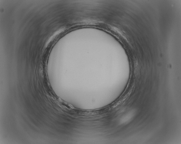 X0000078281307200612011734