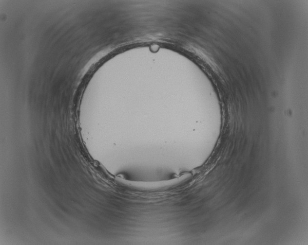 X0000078281308200612011734