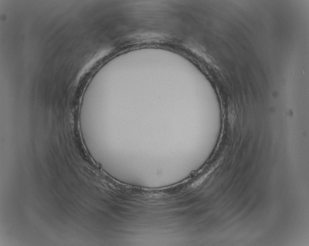 X0000078281309200612011734