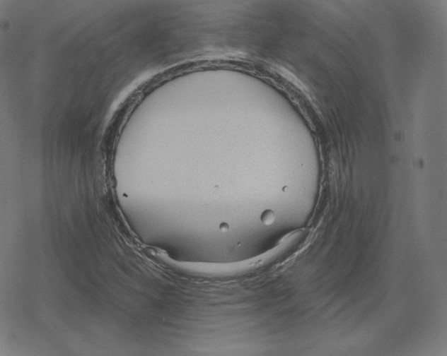 X0000078281310200612011734