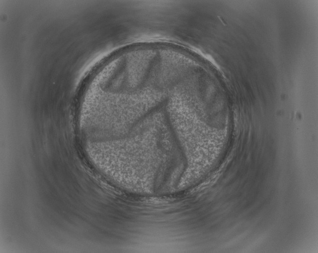 X0000078281311200612011734