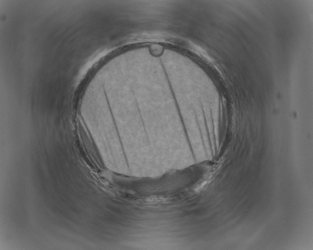 X0000078281312200612011734