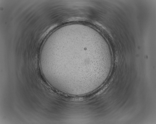 X0000078281313200612011734