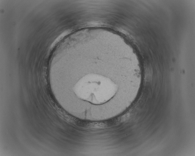 X0000078281314200612011734