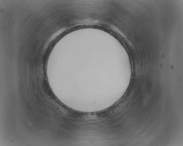 X0000078281315200612011734