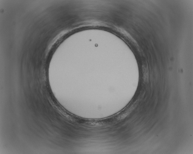 X0000078281318200612011734