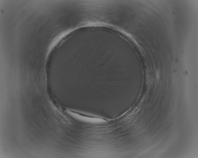 X0000078281319200612011734