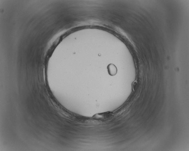 X0000078281320200612011734