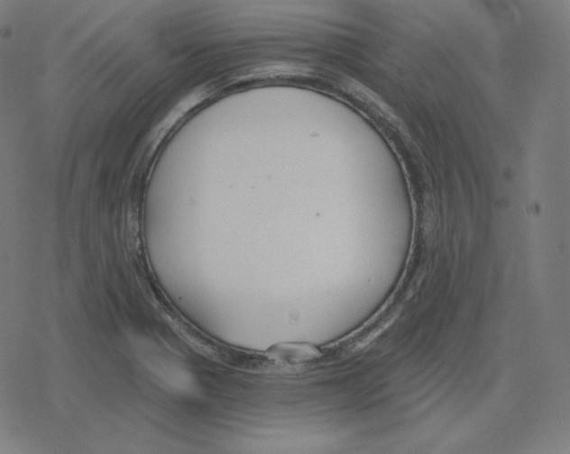 X0000078281321200612011734