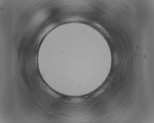 X0000078281322200612011734