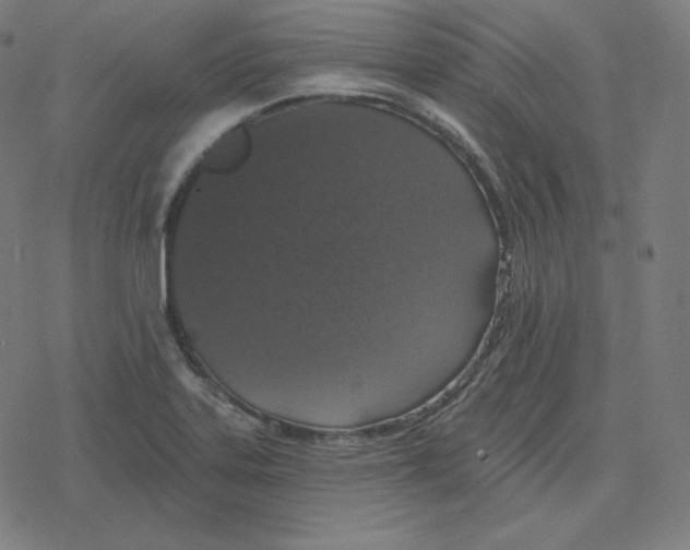 X0000078281323200612011734