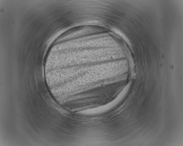 X0000078281324200612011734