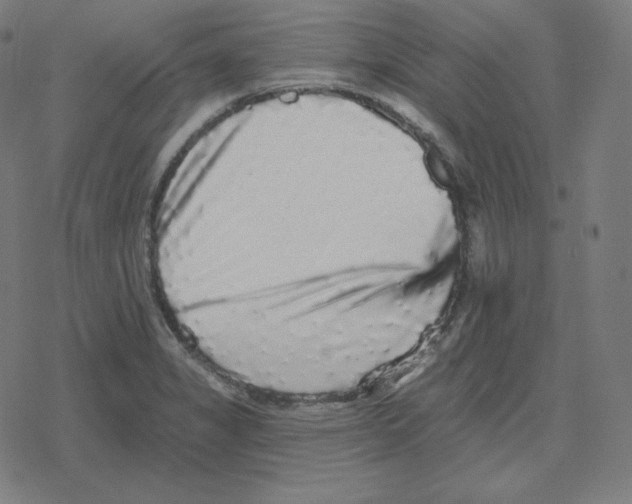 X0000078281325200612011734