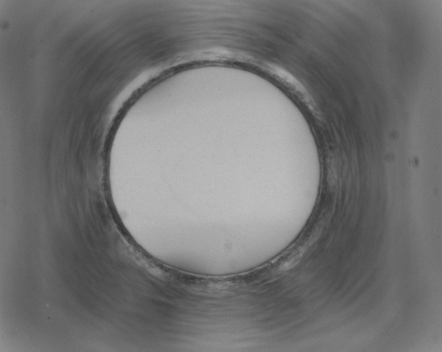 X0000078281326200612011734