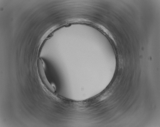 X0000078281330200612011734