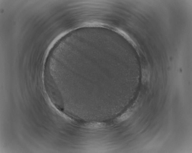 X0000078281331200612011734