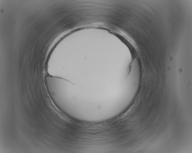 X0000078281332200612011735