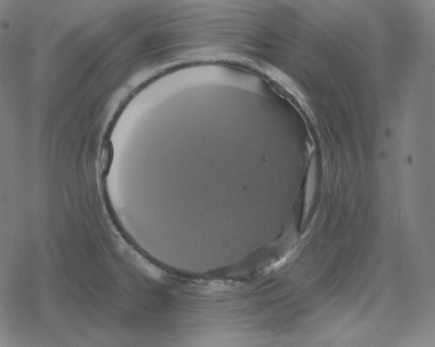 X0000078281334200612011735