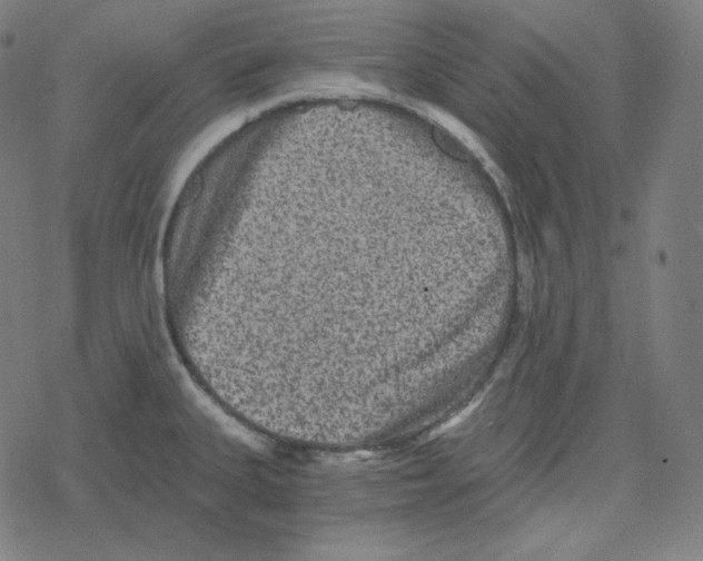 X0000078281335200612011735