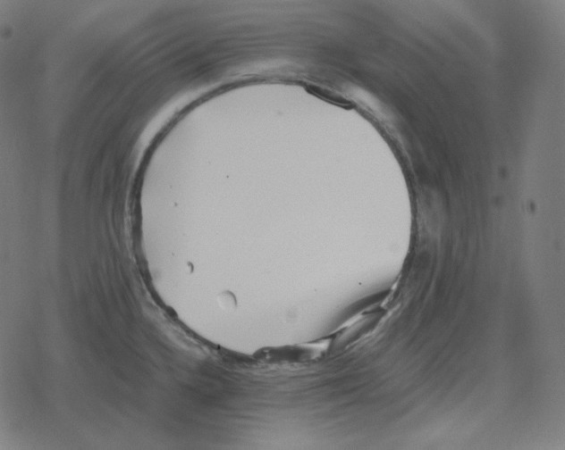 X0000078281336200612011735