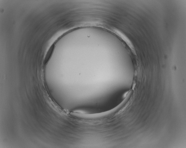 X0000078281340200612011735