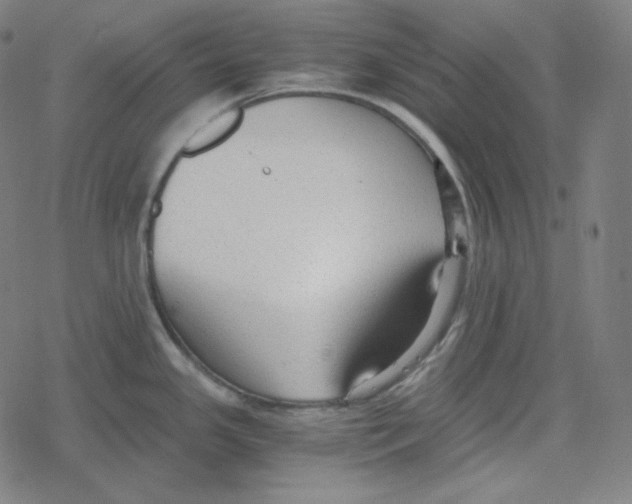 X0000078281341200612011735