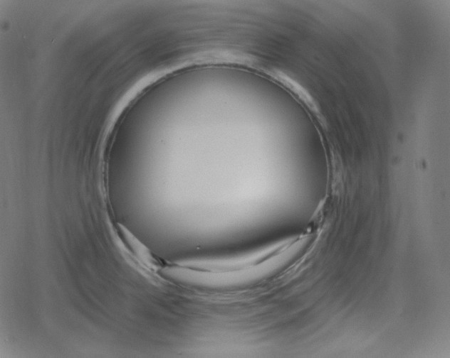 X0000078281342200612011735