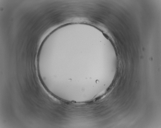 X0000078281343200612011735