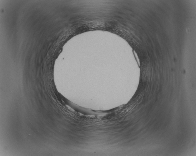 X0000078281345200612011734