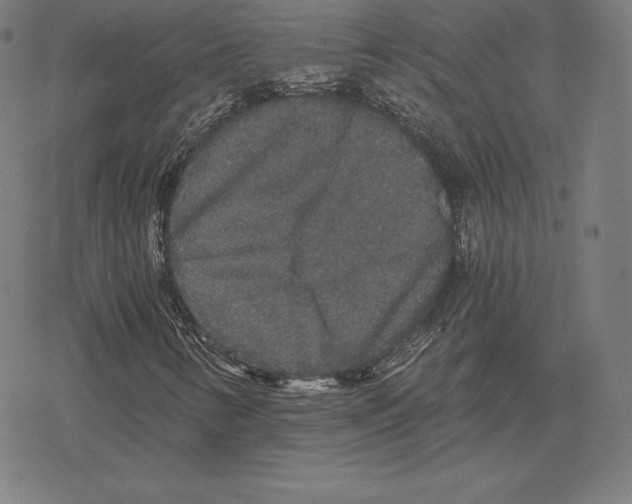 X0000078281346200612011734