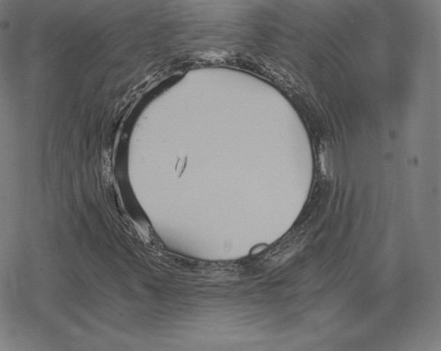 X0000078281347200612011734