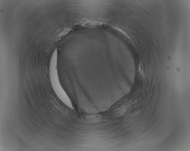 X0000078281348200612011734