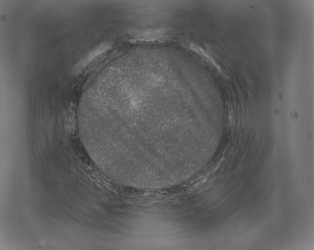 X0000078281350200612011734