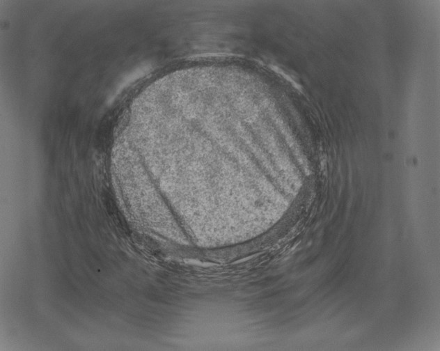 X0000078281351200612011734