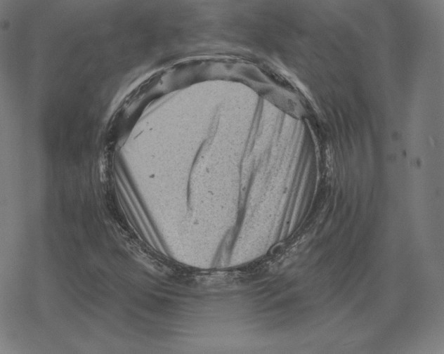 X0000078281352200612011734