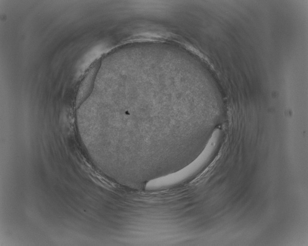 X0000078281355200612011734