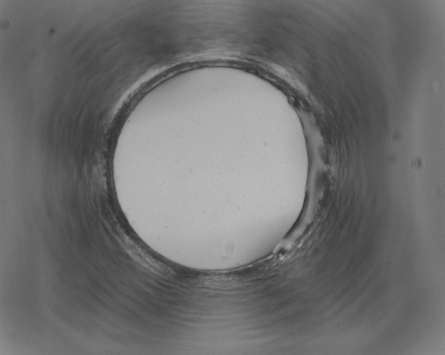 X0000078281356200612011734