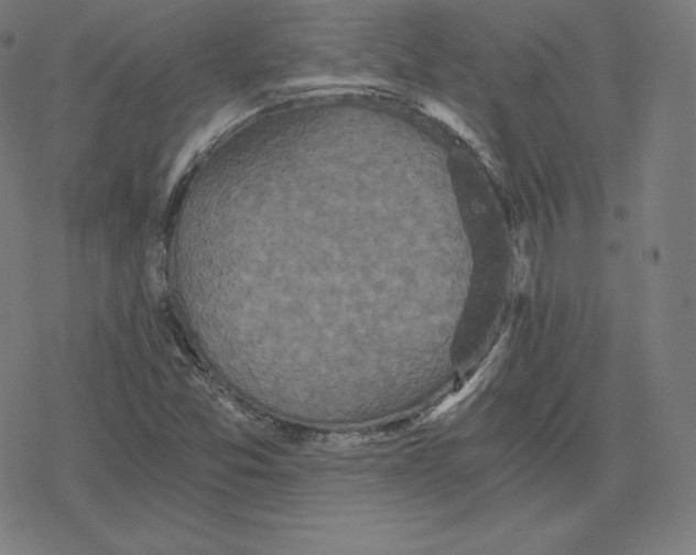 X0000078281357200612011734