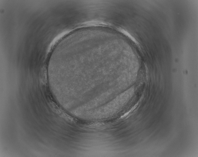 X0000078281358200612011734