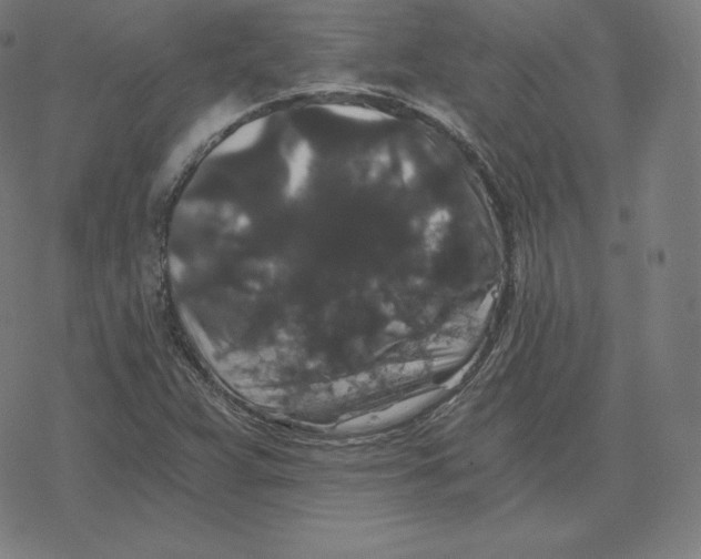 X0000078281359200612011734