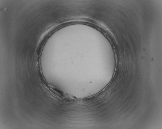 X0000078281360200612011734