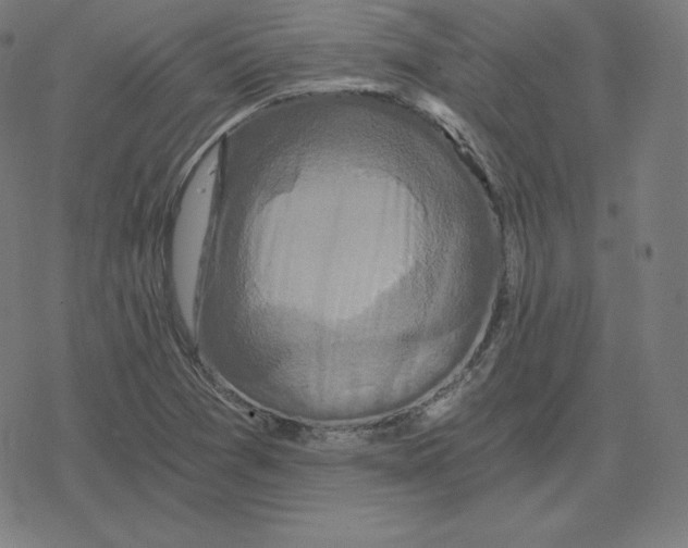 X0000078281361200612011734