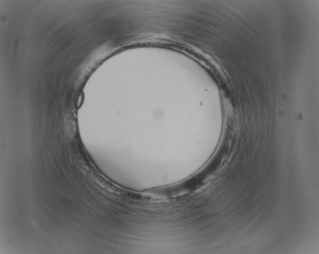 X0000078281363200612011734