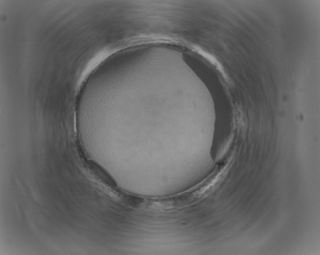 X0000078281365200612011734