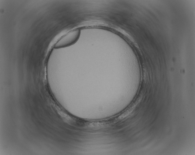 X0000078281366200612011734