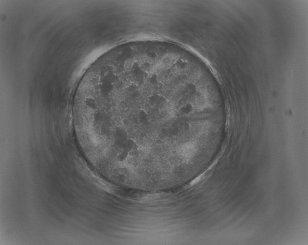 X0000078281367200612011734