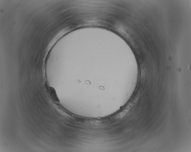 X0000078281370200612011734