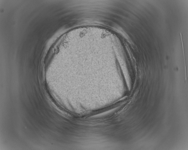 X0000078281371200612011734