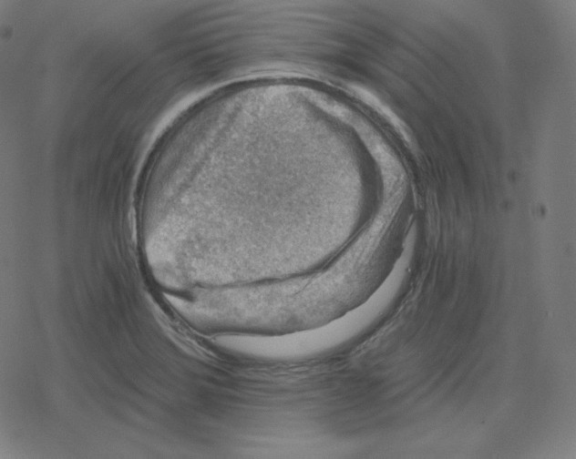 X0000078281372200612011734