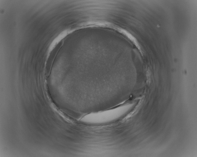 X0000078281373200612011733